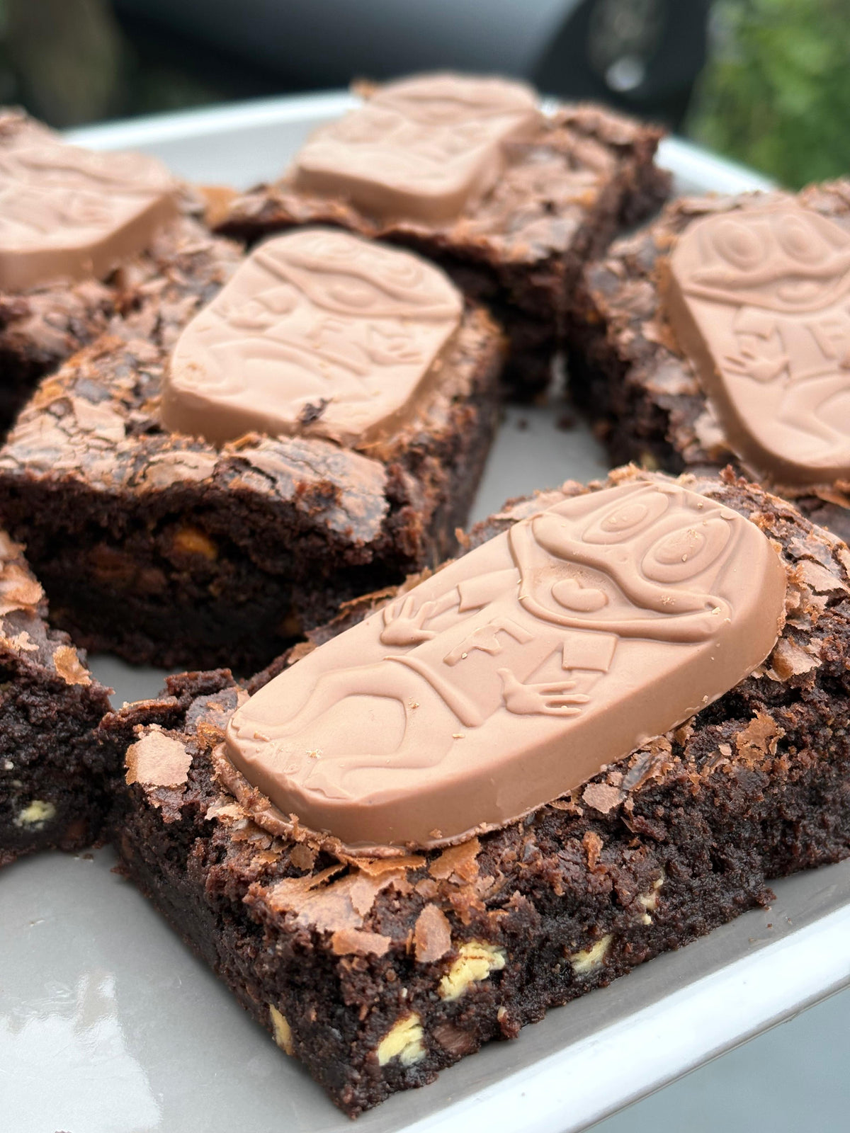 Freddo Brownie